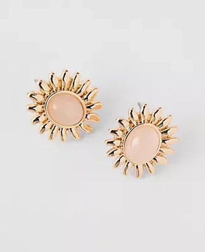 Ann Taylor Sun Stone Stud Earrings