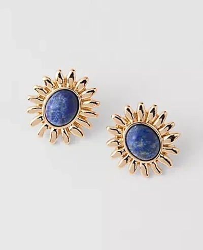 Ann Taylor Sun Stone Stud Earrings In Black