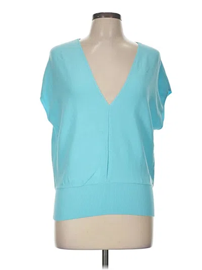 Pre-owned Ann Taylor Sweater Vest In Blue