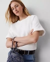 Ann Taylor Sweatshirt Top In White