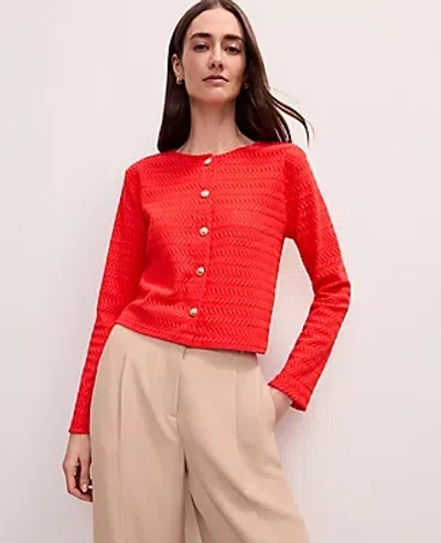 Ann Taylor Textured Knit Cardigan