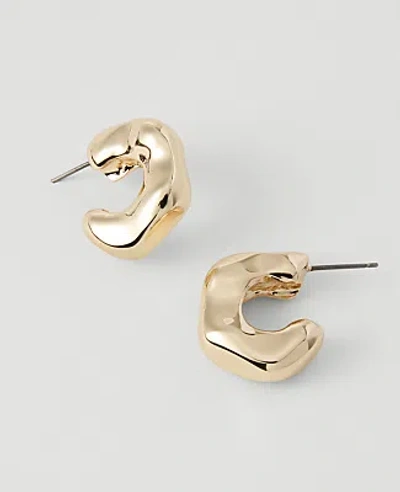 Ann Taylor Textured Mini Hoop Earrings In Goldtone