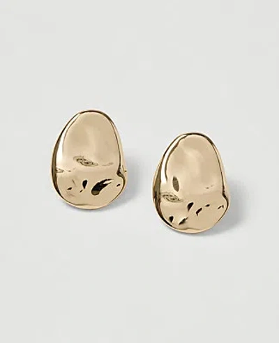 Ann Taylor Textured Oval Stud Earrings In Goldtone