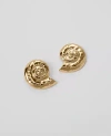 Ann Taylor Textured Shell Stud Earrings In Goldtone