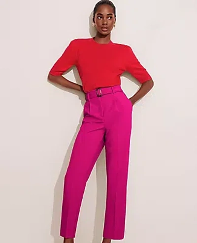 Ann Taylor The Belted Taper Pant In Hot Pink Poppy