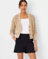 Ann Taylor The City Short In Black