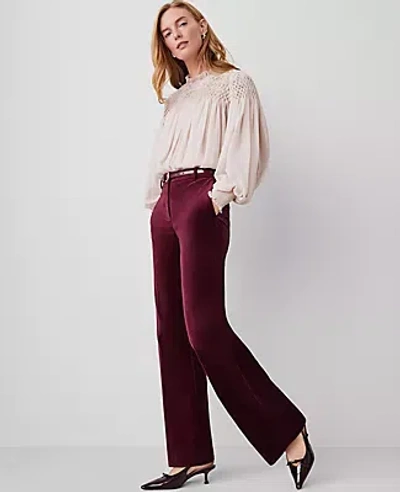 Ann Taylor The Jayne Trouser Velvet Pant In Mauve Rose