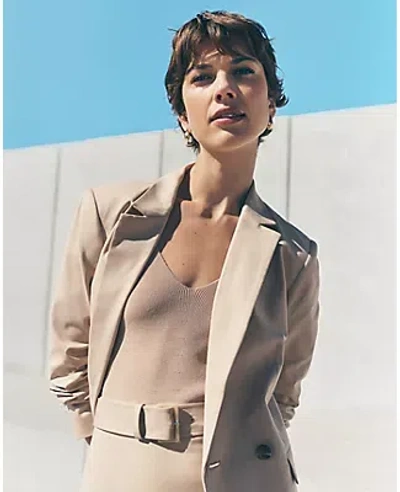 Ann Taylor The Petite Crosby Blazer In Toasted Oat
