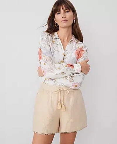 Ann Taylor The Petite Pull-on Short In Sands Edge