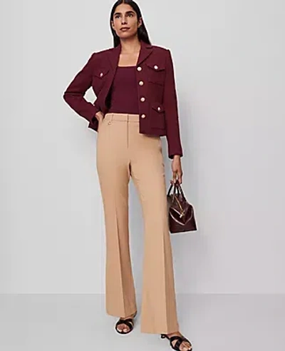 Ann Taylor The Petite Slim Flare Trouser Pant In Brown