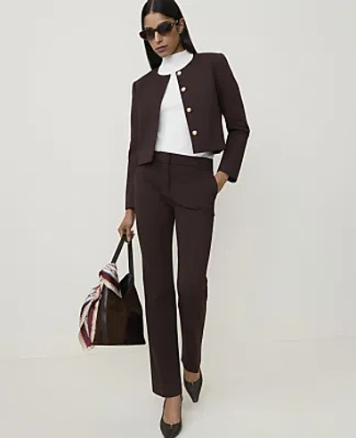 Ann Taylor The Petite Straight Pant In Pure Chocolate