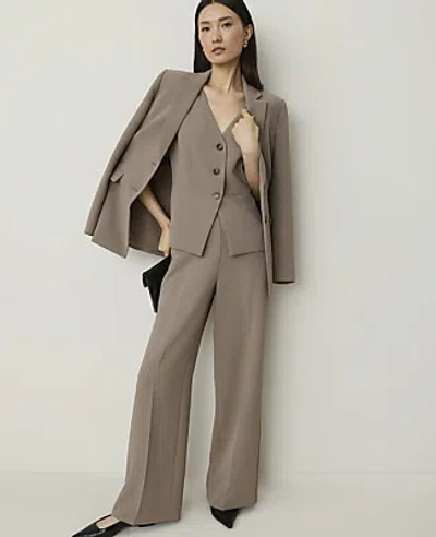 Ann Taylor The Side Zip Wide-leg Pant In Pebble Path