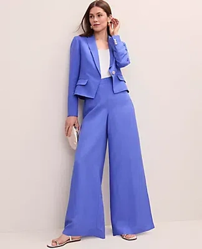 Ann Taylor The Tall Statement Palazzo Pant In Blue