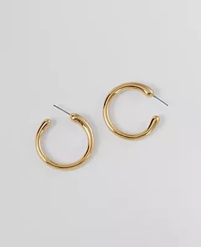 Ann Taylor Thin Hoop Earrings In Gold