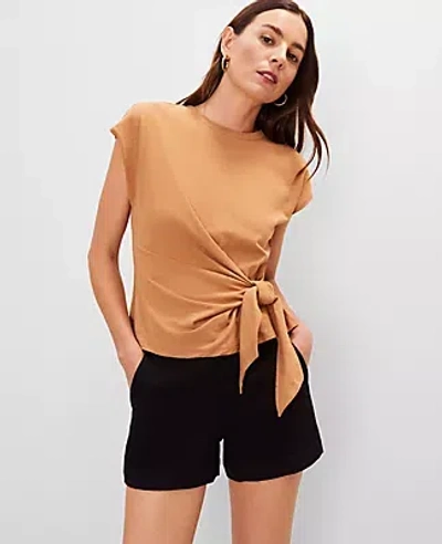 Ann Taylor Tie Waist Tee In Brown