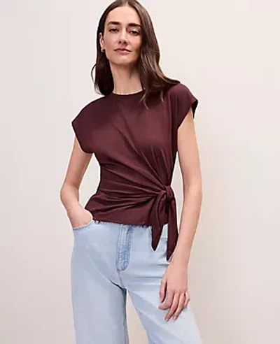 Ann Taylor Tie Waist Tee In Brown