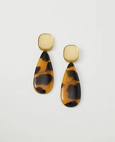Ann Taylor Tortoise Drop Earrings In Gold