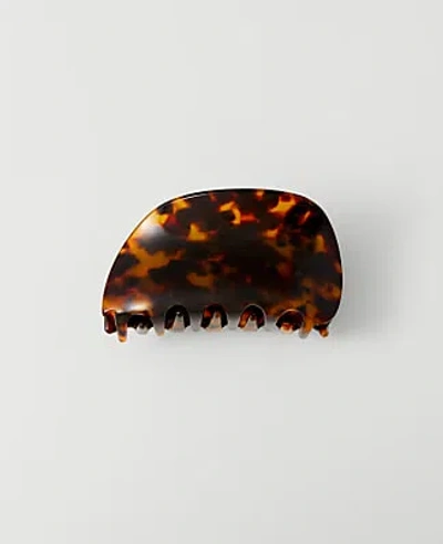 Ann Taylor Tortoiseshell Print Hair Clip In Brown