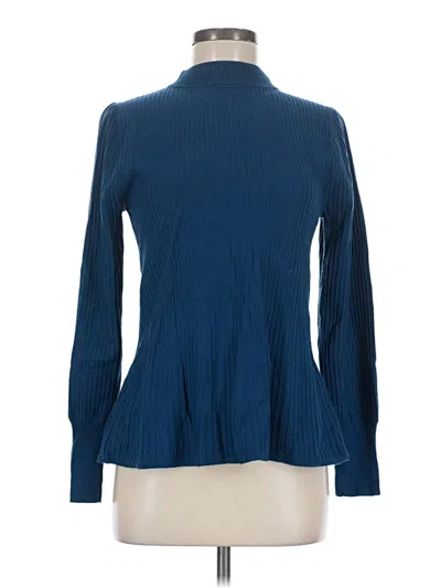 Pre-owned Ann Taylor Turtleneck Sweater In Blue