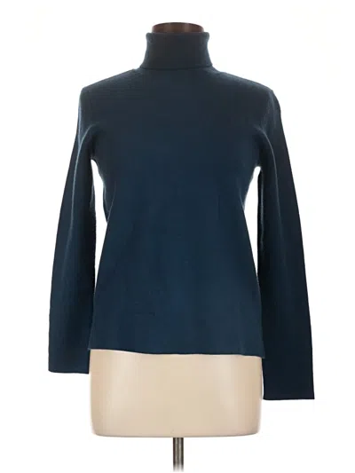Pre-owned Ann Taylor Turtleneck Sweater In Blue