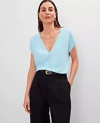 Ann Taylor V-neck Sweater