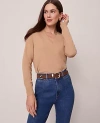 Ann Taylor V-neck Sweater In Brown