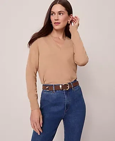 Ann Taylor V-neck Sweater In Brown