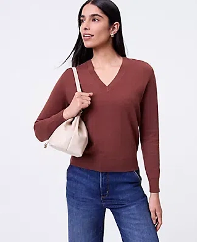 Ann Taylor V-neck Sweater In Brown