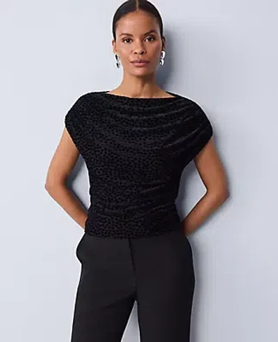 Ann Taylor Velvet Dot Draped Shell Top In Black