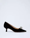 Ann Taylor Velvet Embellished Kitten Heel Pump In Black