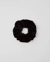 Ann Taylor Velvet Oversized Scrunchie In Black
