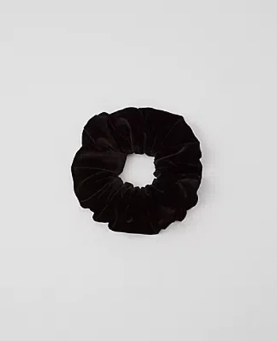 Ann Taylor Velvet Oversized Scrunchie In Black