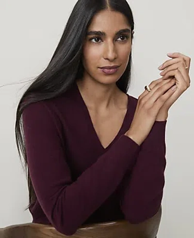 Ann Taylor V-neck Sweater In Purest Plum
