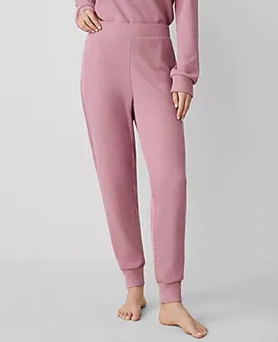 Ann Taylor Waffle Lounge Jogger In Foxglove