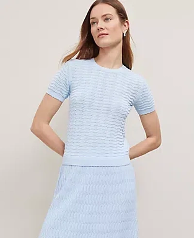 Ann Taylor Wavy Stitch Scalloped Sweater Tee In Zephyr Blue
