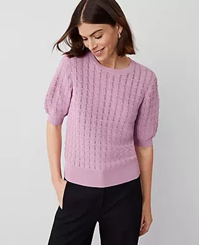 Ann Taylor Wavy Stitch Wedge Sweater In Clean Lilac