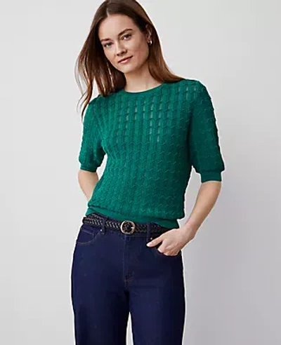 Ann Taylor Wavy Stitch Wedge Sweater In Shady Glade