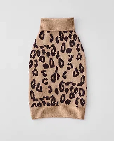 Ann Taylor Weekend Collection Animal Print Dog Sweater In Multi
