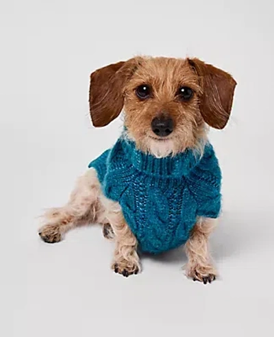 Ann Taylor Weekend Collection Cable Dog Sweater