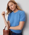 Ann Taylor Weekend Collection Chunky Wedge Sweater Tee In Blue