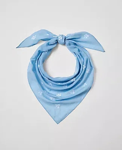 Ann Taylor Weekend Collection Embroidered Scarf