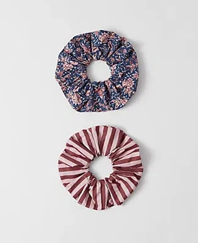 Ann Taylor Weekend Collection Floral Scrunchie Set