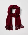 Ann Taylor Weekend Collection Fringe Scarf