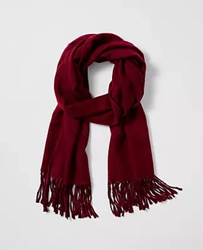 Ann Taylor Weekend Collection Fringe Scarf