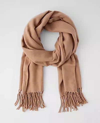 Ann Taylor Weekend Collection Fringe Scarf In Brown