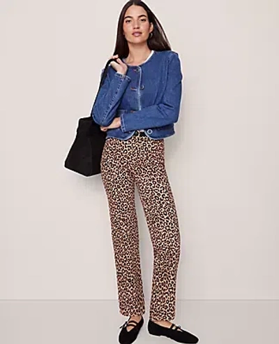 Ann Taylor Weekend Collection High Rise Corduroy Pant In Brown
