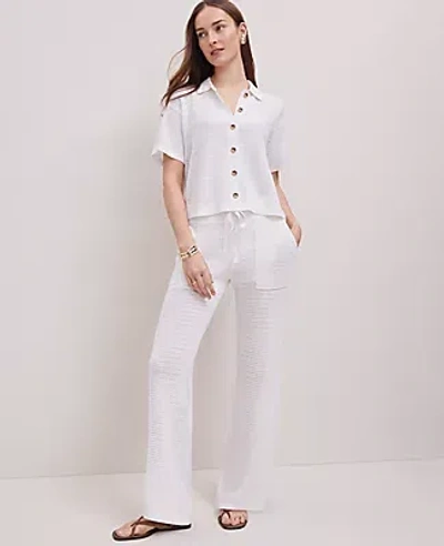 Ann Taylor Petite Weekend Collection Mesh Sweater Pant