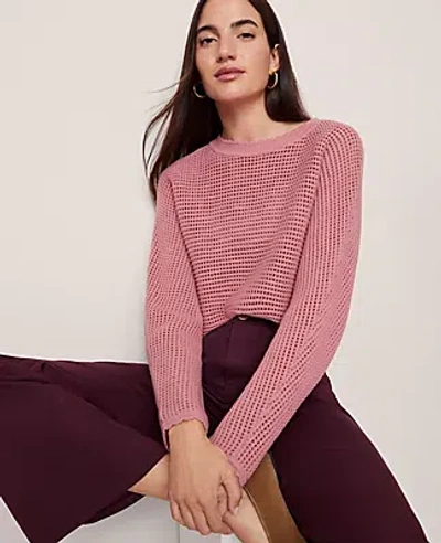 Ann Taylor Weekend Collection Open Stitch Scalloped Sweater In Pink