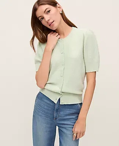 Ann Taylor Weekend Collection Pointelle Crew Neck Cardigan