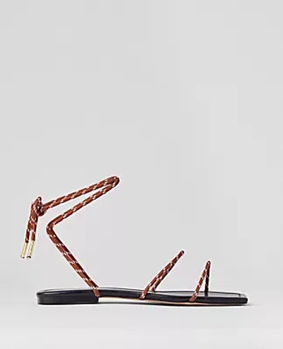 Ann Taylor Weekend Collection Strappy Bungee Cord Sandals In Midnight Mahogany